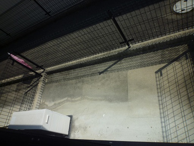 【庭】 | Ariavita