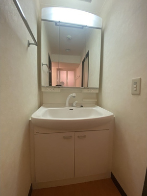 【独立洗面台】 | 志木ニュータウン中央の森参番街六号棟