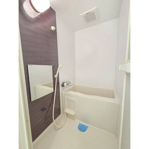 relache瑞穂　名古屋市賃貸　仲介手数料無料の浴室