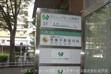 トポリーノのその他