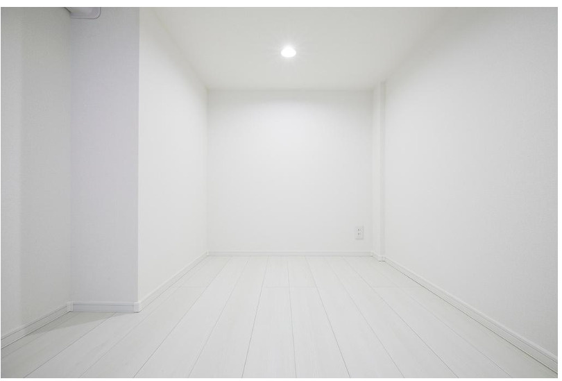 NORTH HILL Shinjuku EAST（ノースヒル新宿イースト）の収納|たっぷりとした収納スペースです　敷金礼金ゼロ☆初期安☆更新料なし！