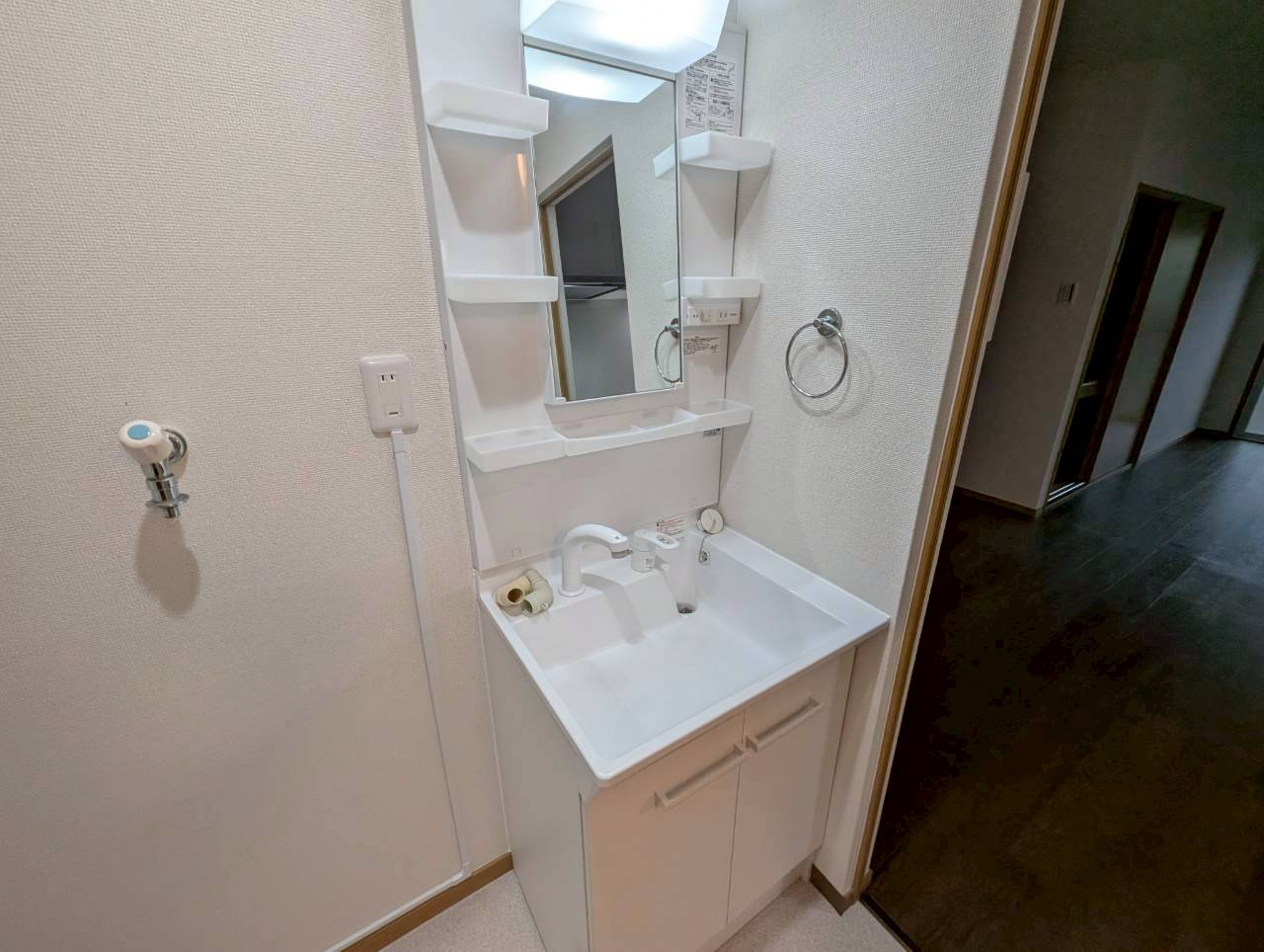 エステートピア桃林丘の独立洗面台