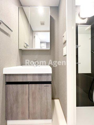 メイクス高岳の洗面所