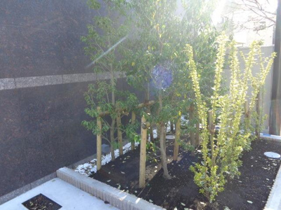 【その他】 | スカイコートパレス大島