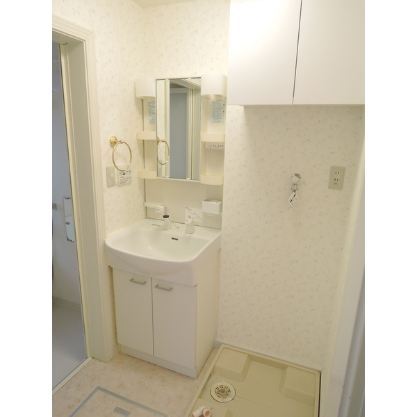 ミルクリークヴィリーヴの独立洗面台