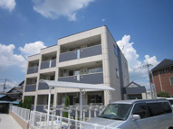 Ｓａｒｙ　ｄａ　ｃｏｒｙの画像