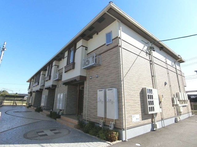 紫苑（シオン）