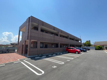 ディアドリームの画像