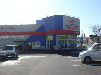 【周辺】 | フィールハイムこうれいⅡ | ウェルネス（ドラッグストア）まで1,075ｍ