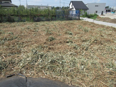 【外観】 | 小山市大字粟宮土地