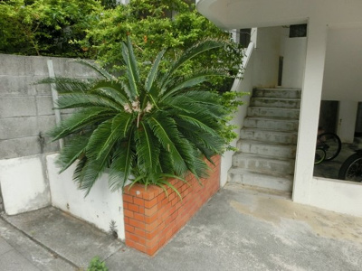  | 安里台ハイツ