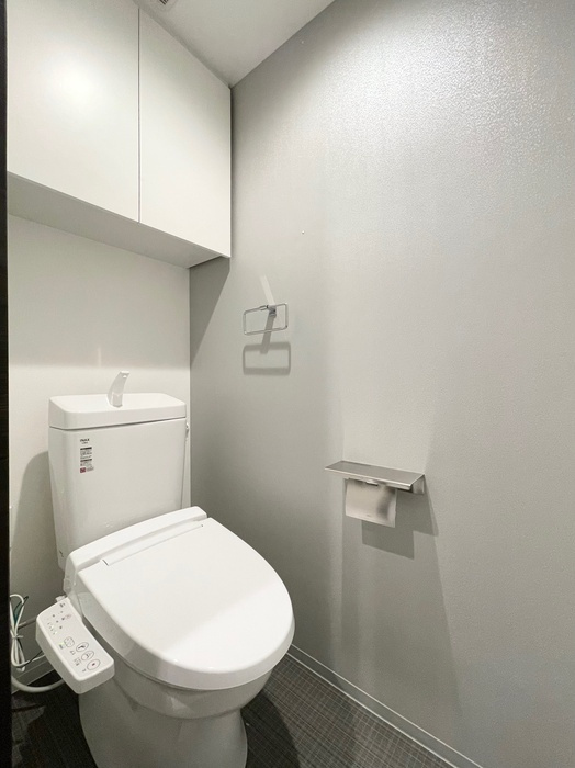 ロイジェント練馬高野台のトイレ