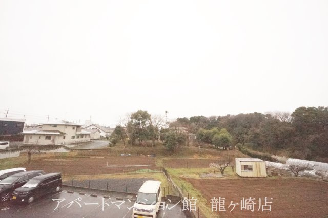 フェニックス雅の展望