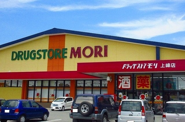 セントラルビレッジＡの周辺|モリ上峰店まで1400m