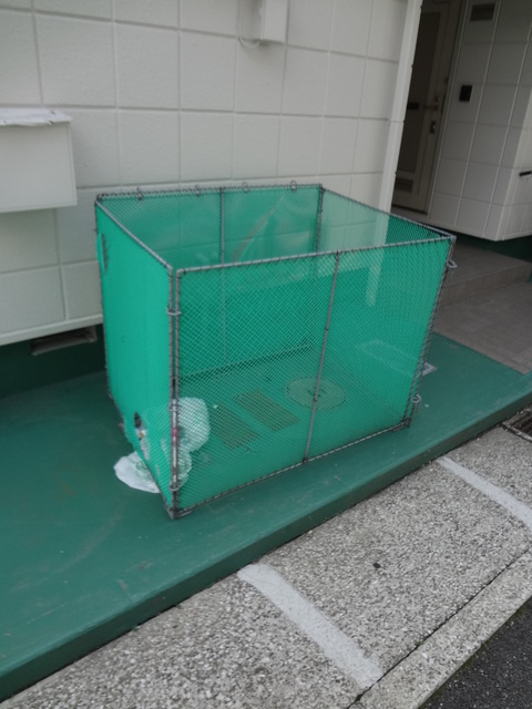 メゾンいるぎのその他