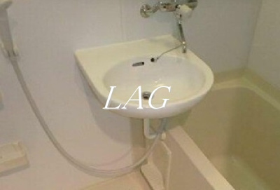 【洗面所】 | アヴァンツァーレ新宿ピアチェーレ | 洗面台です。