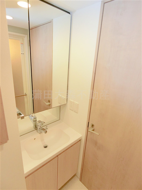 グランカーサ蒲田ウエストの洗面所