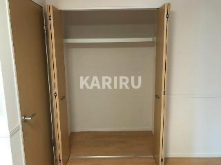 フェリオ　カーネの収納