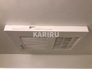 フェリオ　カーネのその他