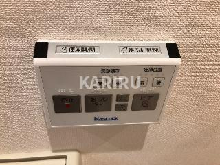 フェリオ　カーネのその他