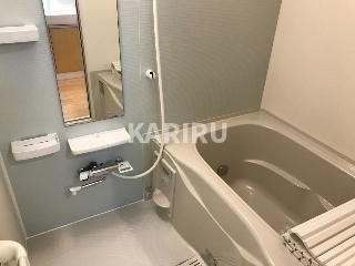 フェリオ　カーネの浴室