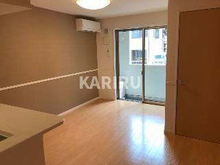 フェリオ　カーネのその他