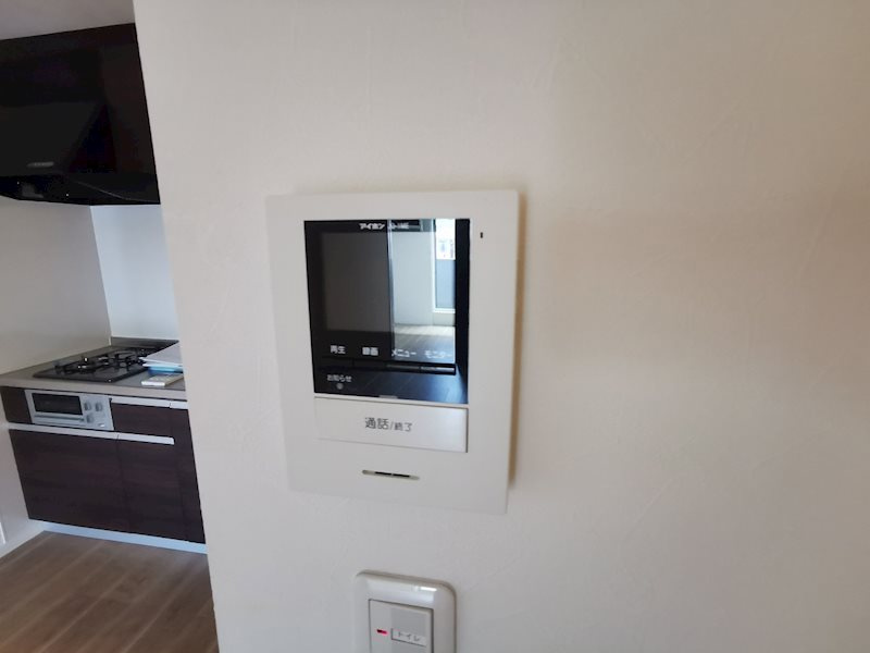 ＲＡＰＩＳのセキュリティ