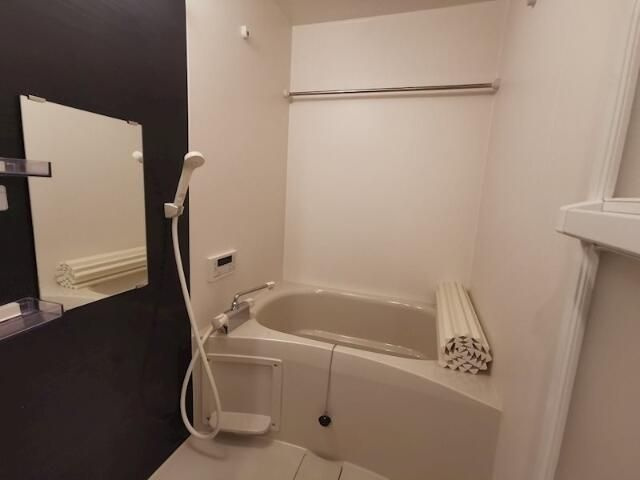 ＲＡＰＩＳの浴室