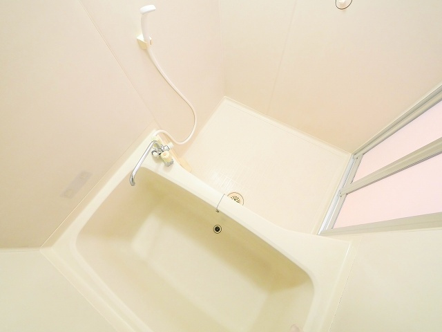 ツインコート帝塚山の浴室