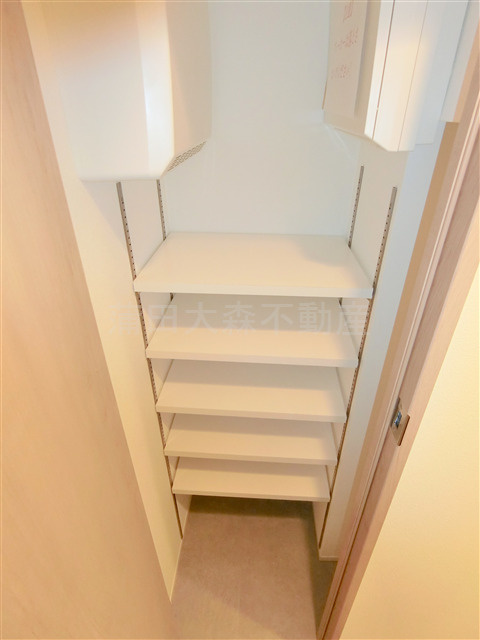 グランカーサ蒲田ウエストの設備|玄関収納　シューズインクローゼット