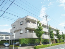 グレイトバレーの画像