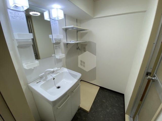 メゾンイサムの洗面所