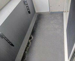 【バルコニー】 | ＺＯＯＭ目黒