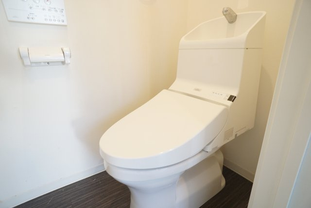 ティエラ逆瀬川のトイレ