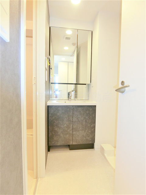 グランカーサ蒲田ウエストの洗面所