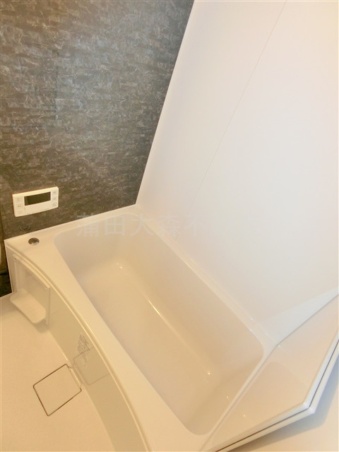 グランカーサ蒲田ウエストの浴室