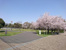 都立城北中央公園まで300m