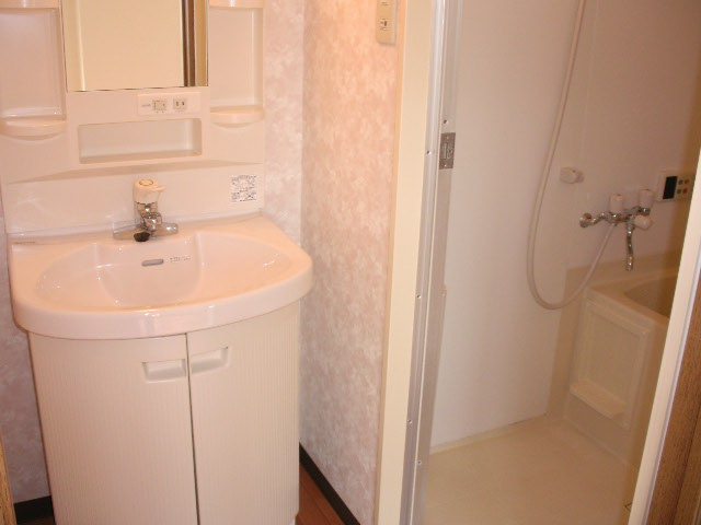 ライフシティサカイの洗面所