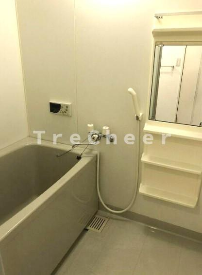 第11秋葉ビルの浴室