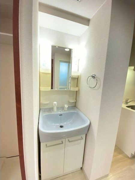 メゾン・デ・ノムラ島之内の洗面所