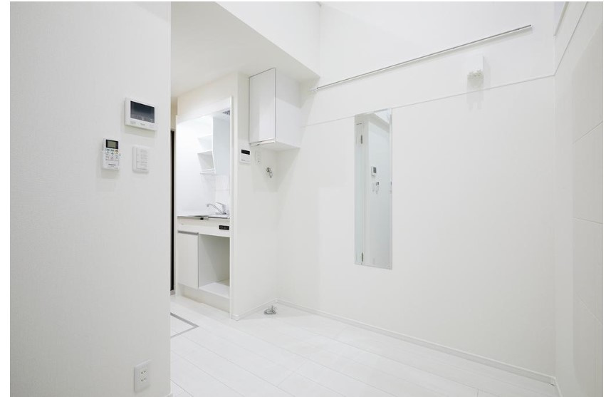 Ponte Vecchio(ポンテ・ヴェッキオ)の収納|物件の内装です