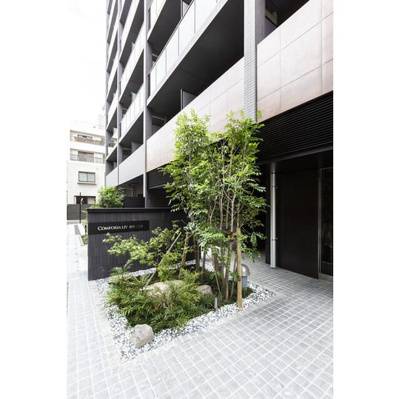 【エントランス】 | コンフォリア・リヴ根岸二丁目