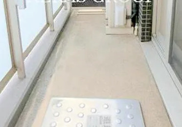 J.リヴェール学芸大学のバルコニー