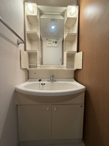 エスビル弐番館の洗面所