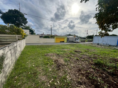  | 南城市玉城字親慶原土地