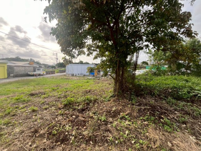  | 南城市玉城字親慶原土地