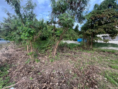  | 南城市玉城字親慶原土地