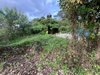  | 南城市玉城字親慶原土地