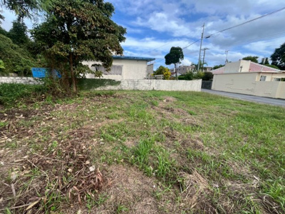  | 南城市玉城字親慶原土地