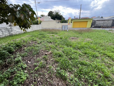  | 南城市玉城字親慶原土地